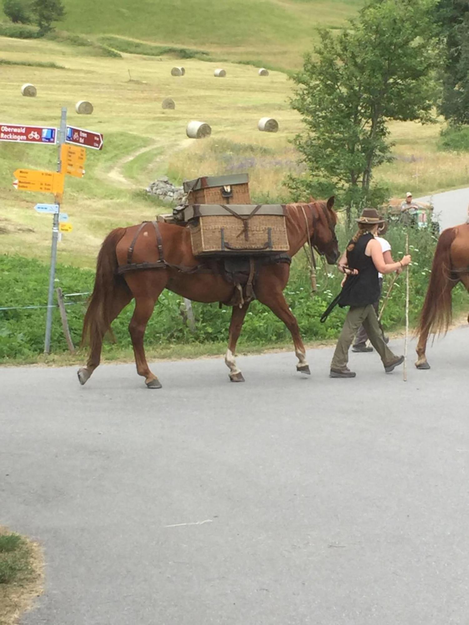 Distel Villa Goms Kültér fotó